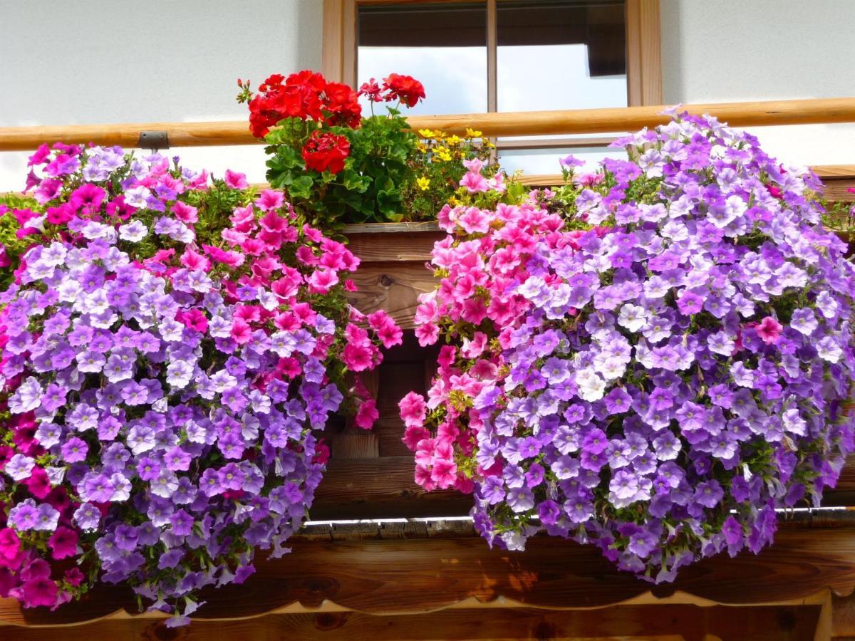 Ferienwohnung Huberhof Oberndorf in Tirol Kültér fotó